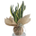 peygamber kılıcı